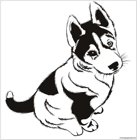 Printable Husky Coloring Pages